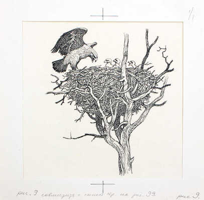 Кузнецов Леонид Трофимович. Макет из 27 иллюстраций и книга К.Д. Ушинского «Рассказы и сказки» (М.: Дет. лит., 1975)